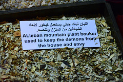 Fujairah 2013 – Fujairah Museum – ALleban mountain plant boukor used to keep the demons from the house and envy