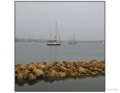 Sailboats in the Mist
