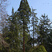Vue avec Sequoia (2)
