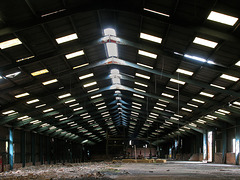 Loxley skylights