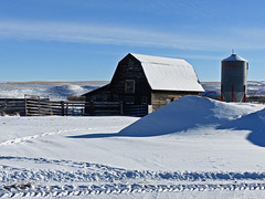 Rural winter scene