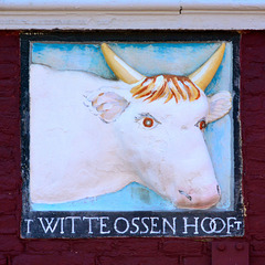 Alkmaar 2014 – ’t Witte Ossen Hooft