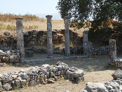 Antigonea- Columns