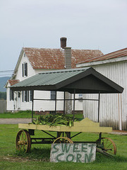 Farm, New England