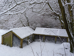 oaw[HH] - hedgepigs, winter quarters Jan'13