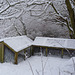 hedgepigs - winter quarters Jan'13