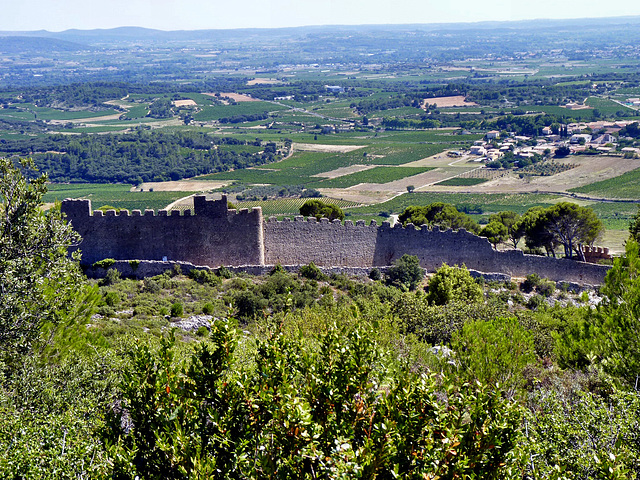 Le Barry - Chateau de Montpeyroux