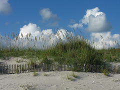 Atlantic Beach dune
