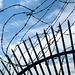Gate and Barbed Wire, Holyoke
