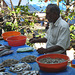 Cochin Fishmonger