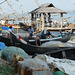 Busy Fishing Harbour