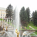 Springbrunnen in Peterhof