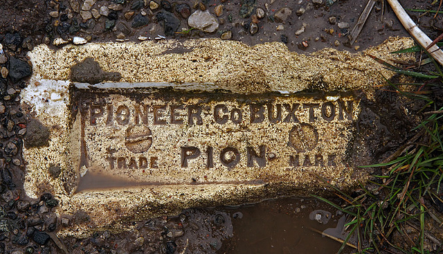 Pioneer - Buxton
