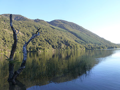 Reflejo en el lago