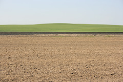 Plowed field in the Palouse