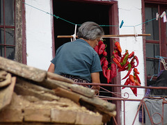 Liqenas- Drying Peppers