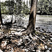 Similkameen River, Princeton, BC