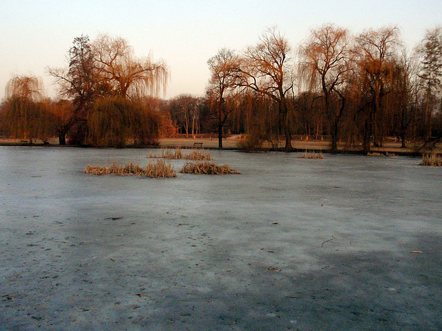 Still Frozen Pond