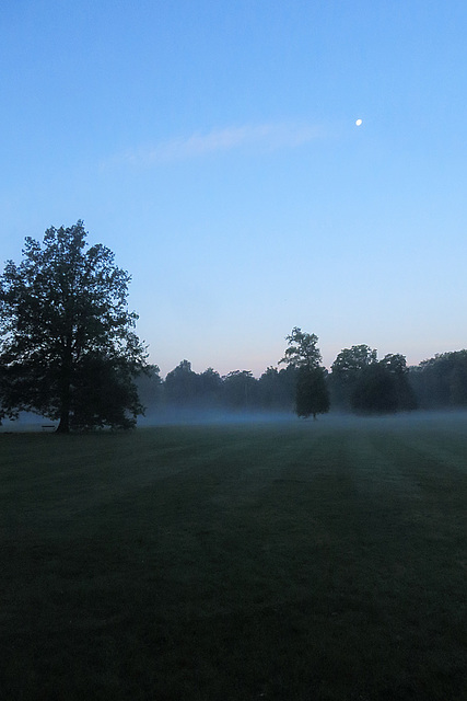 Misty Morning Moon