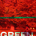 Green on Red