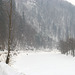 Schneefall in Karpaten