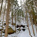 Der Karpatenwald im Winter