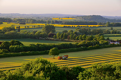 Shropshire fields