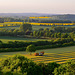 Shropshire fields