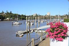 Gardens Point Boat Harbour