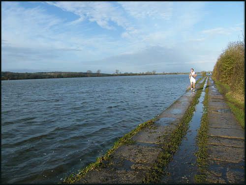 Port Meadow in flood