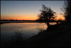 winter sunrise at Port Meadow
