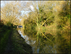 towpath reflection