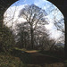 Through an Arch of Reddish Vale Viaduct