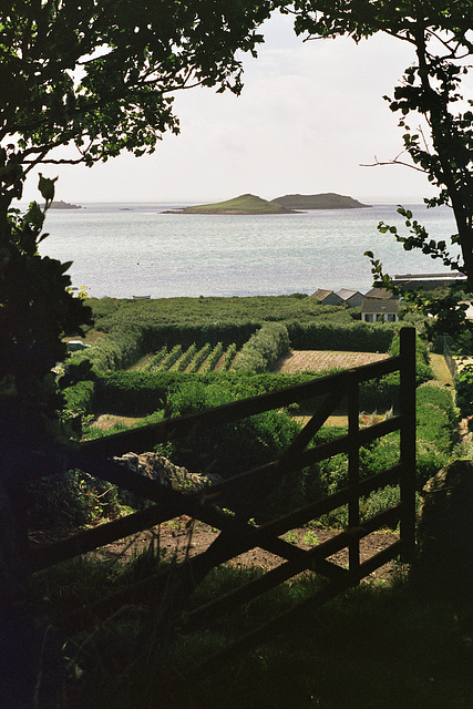 gate, hedges, sea, islands