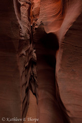 Escalante - Spooky Slot Canyon - Utah:  Yes, I hiked through this slot.  It was the most narrow slot I've ever hiked.  At times, I could have kissed the wall in front of me.  Wow, quite an experience!