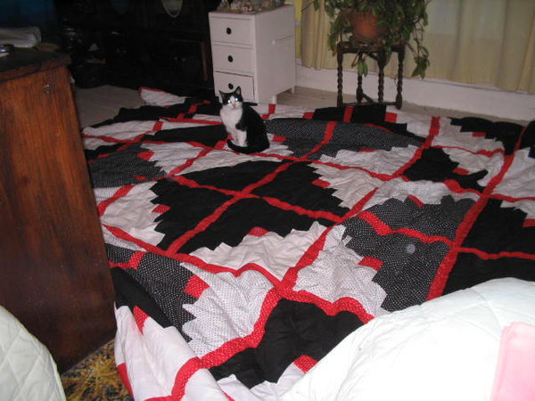 One of my quilts, which I call "the monster".