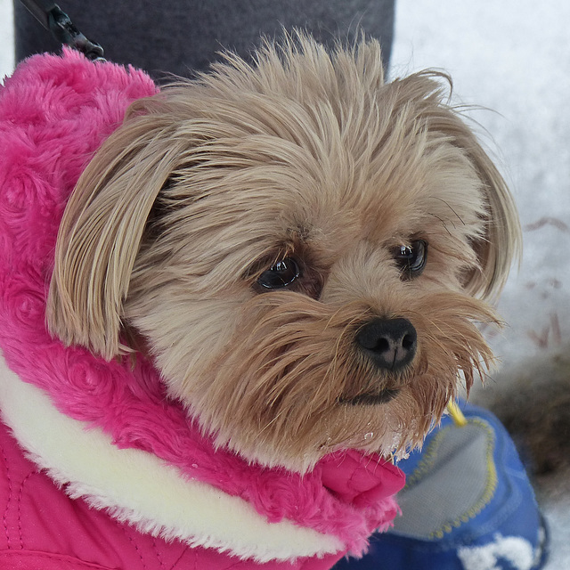 Little cutie in pink