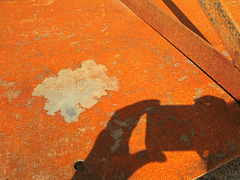 Rust with My Hand and Camera