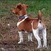 JRT stance ~ you'll know it when you see it