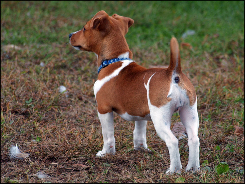 JRT stance ~ you'll know it when you see it