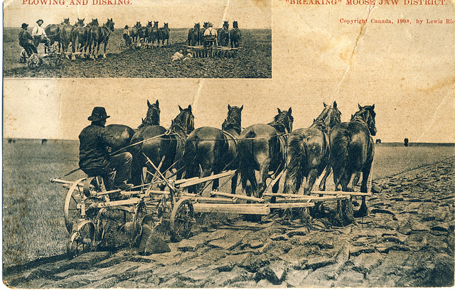 Plowing and Disking   "Breaking" Moose Jaw District.