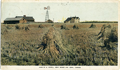 Farm of H. Dorell, near Moose Jaw, Assa., Canada
