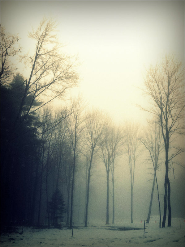 foggy mornin' in the hollow