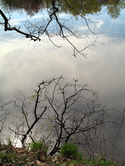 Reflections/Sky In Water