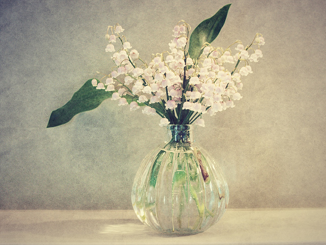 still life with lily of the valley