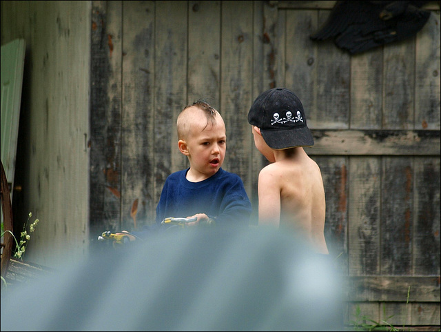 over by the shed, intense negotiations over by the shed, intense negotiations