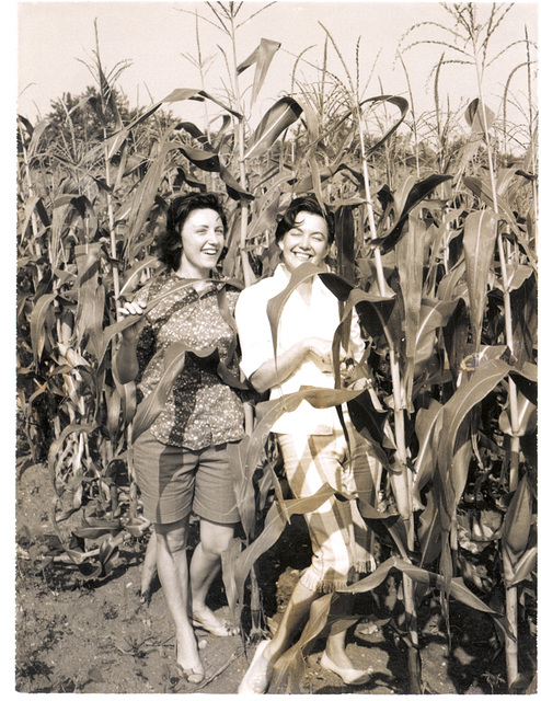 Children of the corn, Shirley and Alice, with a few good ears ahead of them, c. 1962