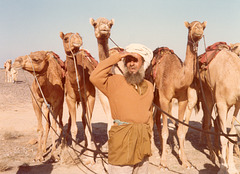 Camel races 2