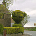 Ross-on-Wye 2013 – Hedge