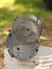 homemade crawfish trap